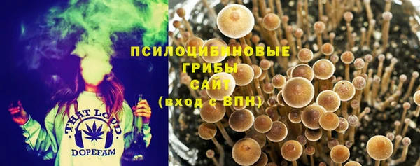 герыч Краснослободск