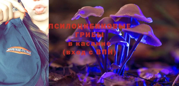 гидропоника Краснотурьинск
