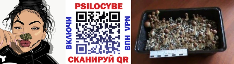 Купить закладки  Нерехта  Галлюциногенные грибы Magic Shrooms 